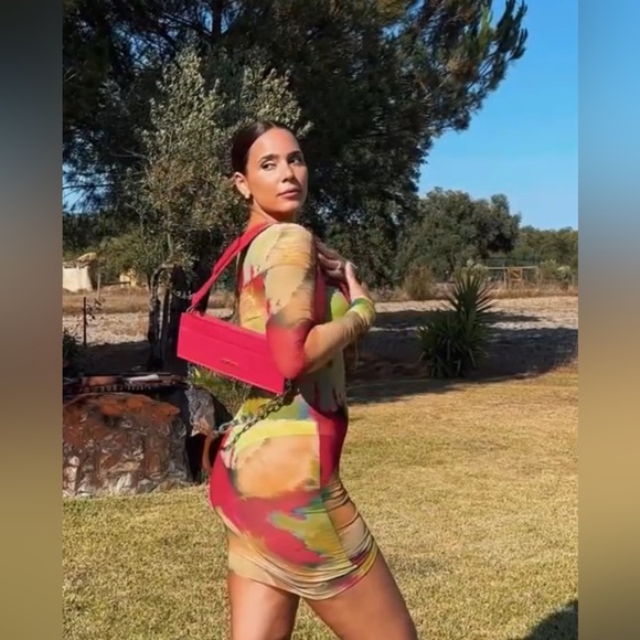 Jacquemus Le Ciu Ciu Bag - Picture 7 of 14